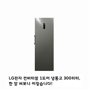 자취방에 둔 LG 300리터 컨버터블 냉동고 A320S 한 달 후기