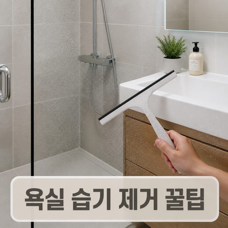 욕실 습기 제거 방법, 곰팡이 예방을 위한 제습 관리 꿀팁
