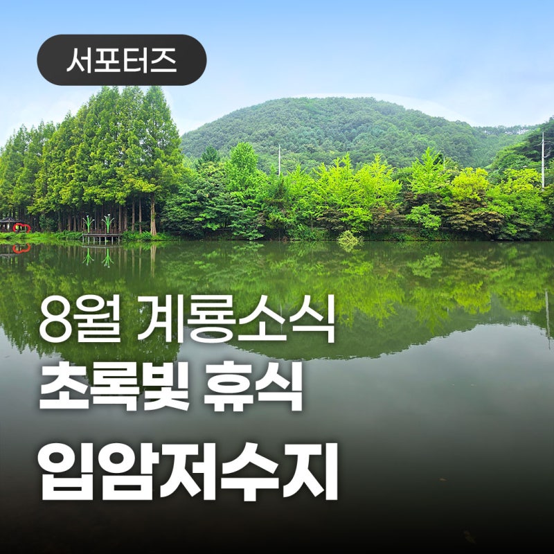 초록빛 휴식이 머무는 곳, 계룡시 입암저수지