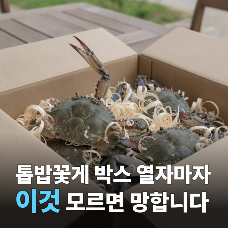 톱밥꽃게 손질법 보관법, 완벽 정리!