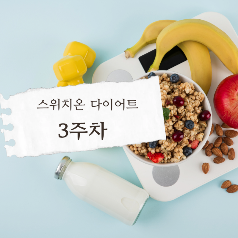 스위치온 다이어트 3주차 후기(방법, 식단표 등)