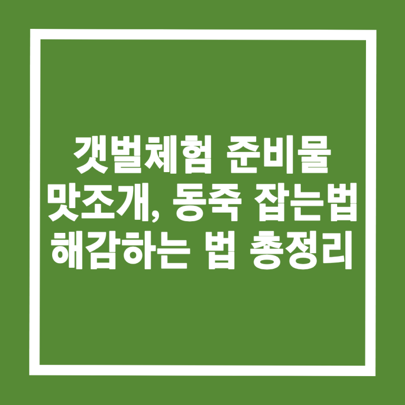 아이와 갯벌체험 준비물 맛조개 동죽 잡는 법 해감하는 법 총정리