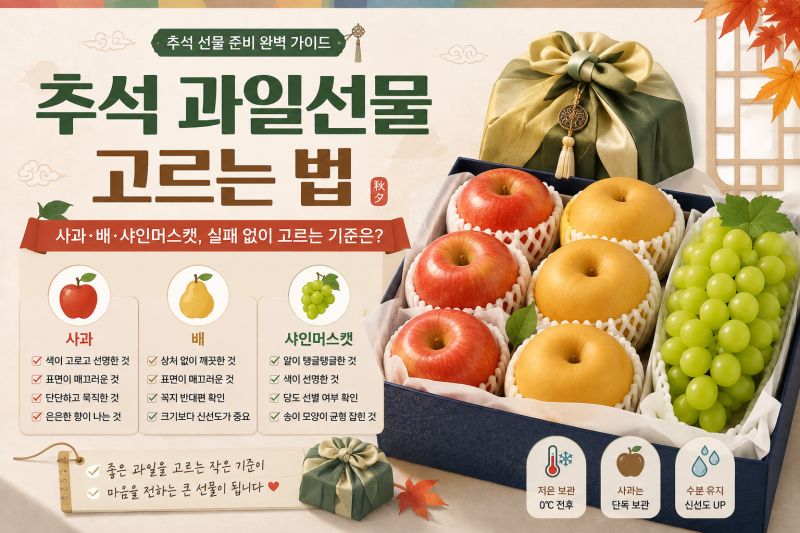 추석 과일선물 고르는 법｜사과·배·샤인머스캣, 실패 없이 고르는 기준은?