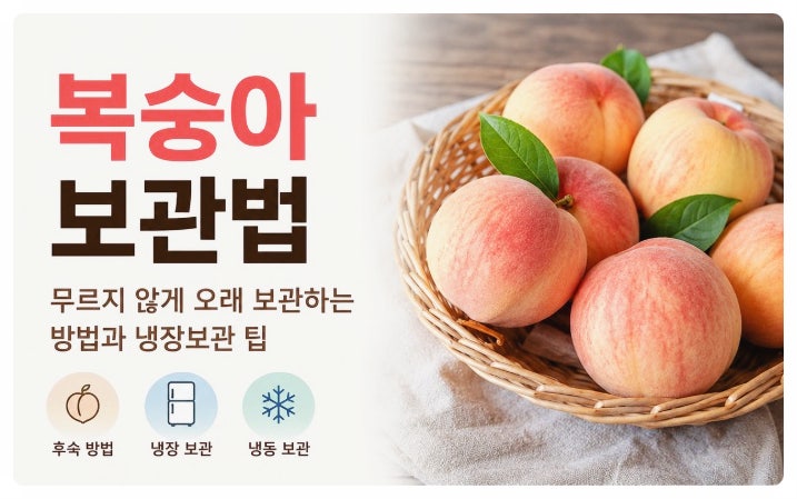 복숭아 보관법｜무르지 않게 오래 보관하는 방법과 냉장보관 팁