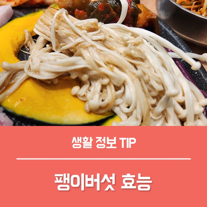 팽이버섯 효능 4가지, 칼로리 유통기한까지 정리