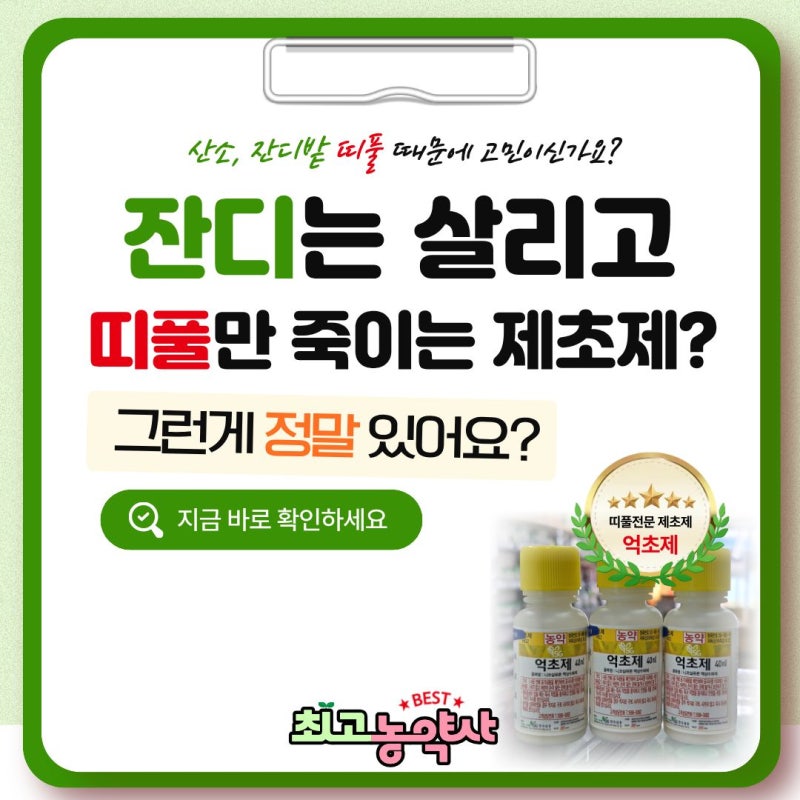 잔디는 안 죽이고 띠풀만 죽이는 제초제가 있을까? 억초제 제대로 사용하는 법 (....