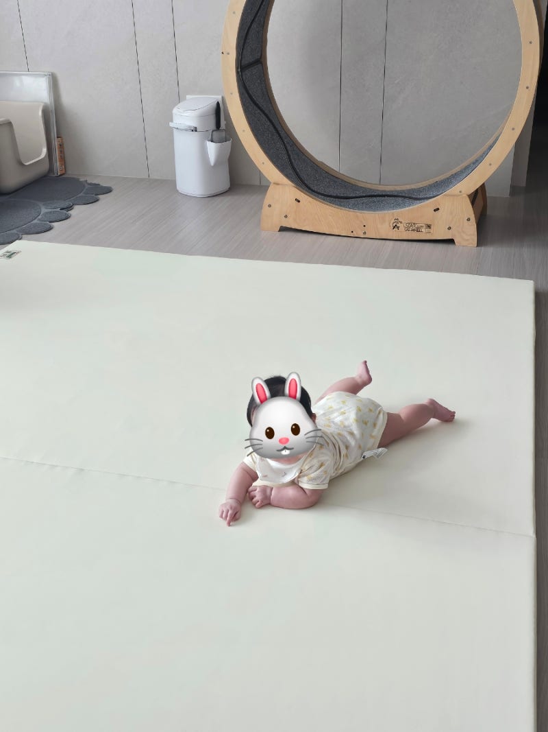 [후기] 본베베 자이언트 폴더매트 구매 (with.고양이)