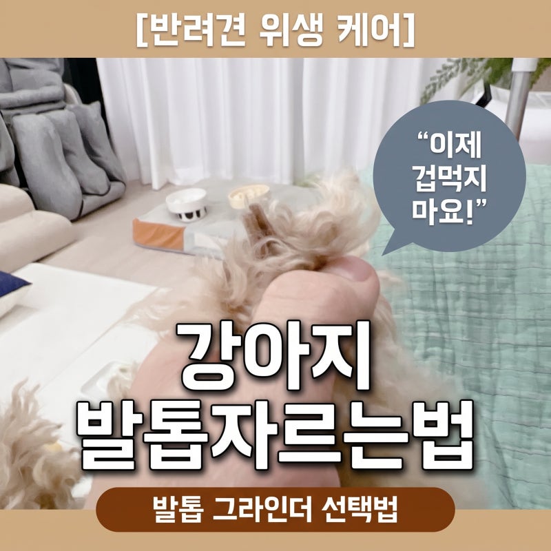 강아지 발톱깎이 발톱자르는법 강아지 발톱그라인더 선택법