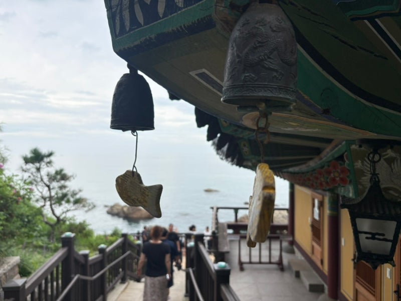 양양 가볼만한 곳 애견동반 1박2일 여행코스｜동호해수욕장 펫비치·맛집까지