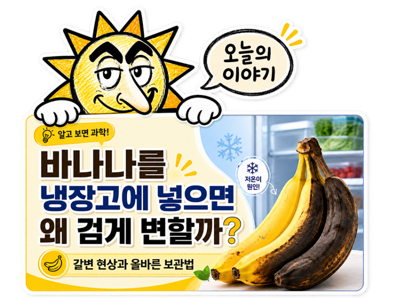 바나나를 냉장고에 넣으면 검게 변하는 이유｜갈변 현상과 올바른 보관법