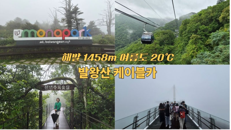 週末旅行コース モナ龍平発王山ケーブルカースカイウォーク体験記
