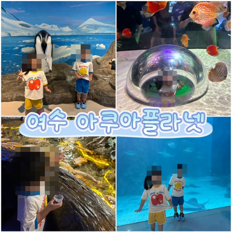 [전남 여수여행] 여수 아이와 가볼만한곳 '아쿠아플라넷 여수' 아이와 주말 방문 솔직후기, ....