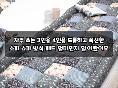 자주 쓰는 3인용 4인용 도톰하고 폭신한 소파 쇼파 방석 패드 얼마인지 알아봤어요