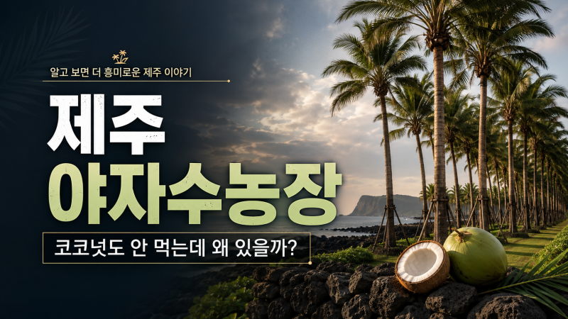 장미란씨 시신 발견된 '제주 야자수농장'… 야자열매도 안 먹는데  왜 키우는 걸까?