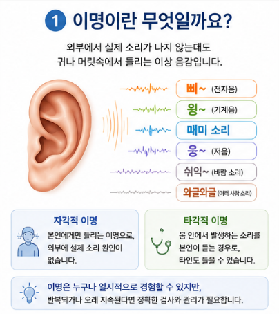 귀에서 삐~ 소리가 난다면?이명과 난청, 어떤 관계가 있을까요?