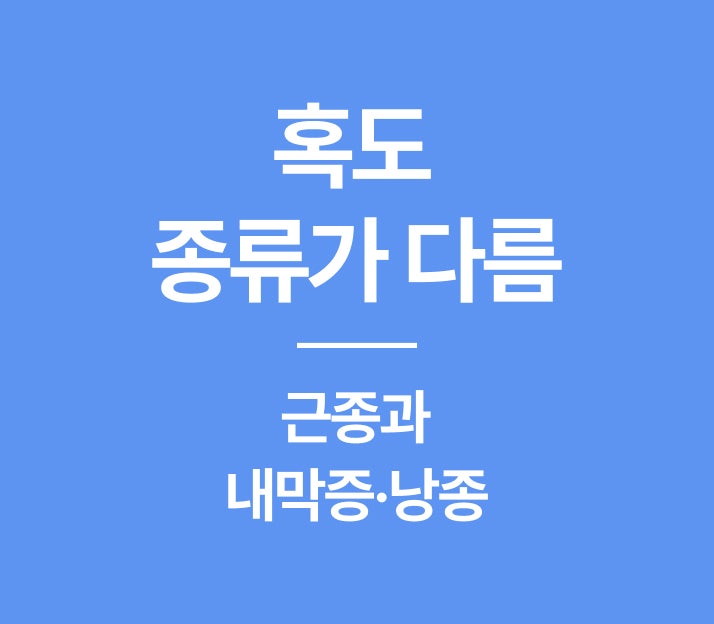 자궁근종·내막증·난소낭종 수술비 왜 다를까? 진단코드별 청구 기준