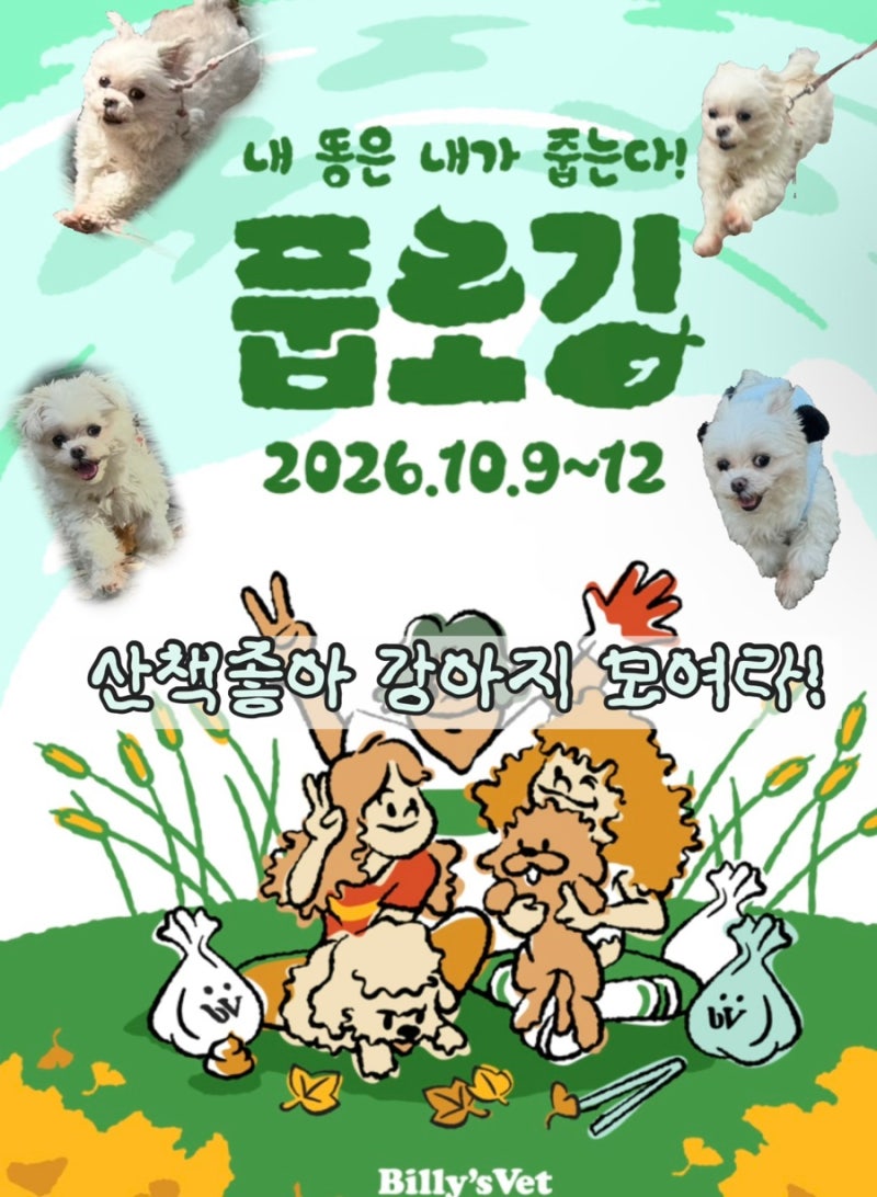 빌리스벳풉로깅 | 2026 풉로깅 신청 15만원 구성품 선물 꿀팁