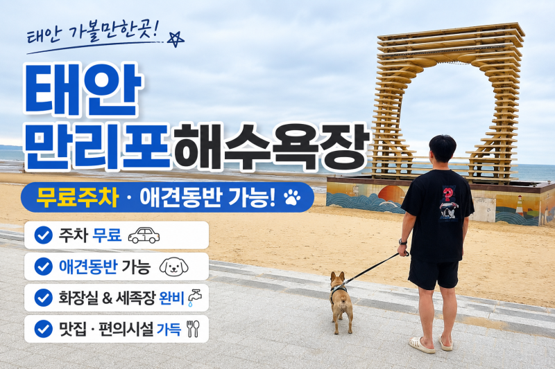 [태안여행]-태안애견동반 만리포해수욕장 주차정보