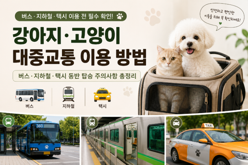 강아지 고양이 대중교통 동반 탑승｜버스·지하철·택시 이용 시 주의사항