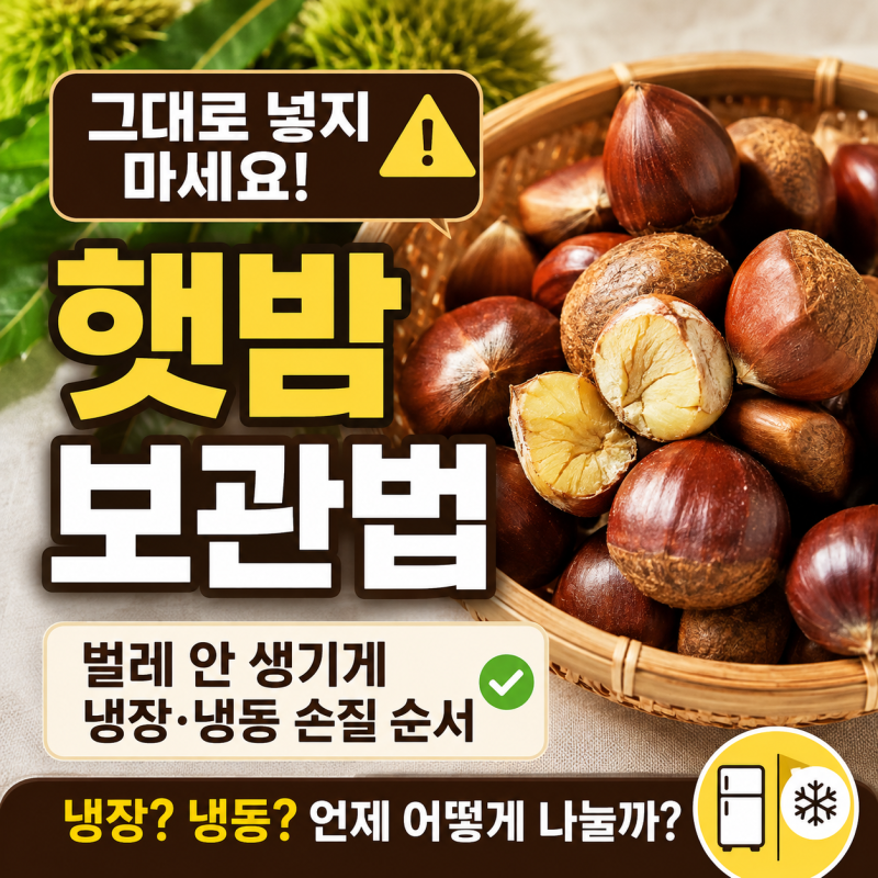 햇밤 한 봉지 그냥 냉장고에 넣지 마세요, 벌레 걱정 줄이는 순서가 있어요