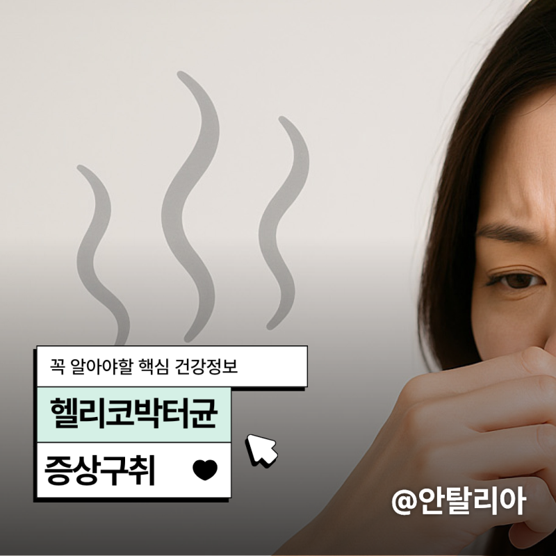 헬리코박터균 증상 구취 소화불량 관리법