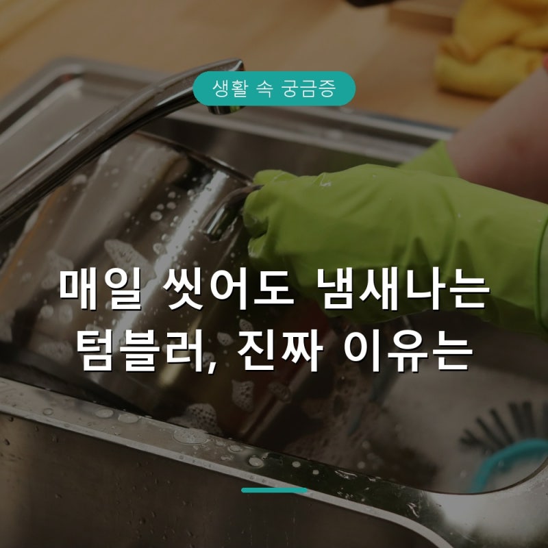텀블러 물때 제거법과 세균 관리, 올바른 세척주기