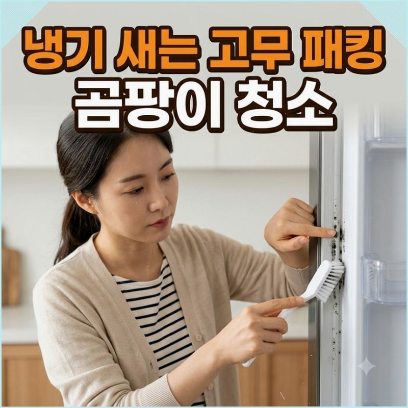냉장고 문 고무패킹 곰팡이 냉기 유출 청소법 락스 쓰면 삭으니 베이킹소다로 안전하게 지켜....