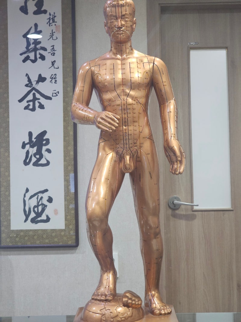 케겔운동