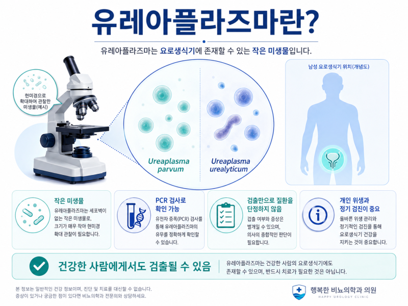 유레아플라즈마 양성, 꼭 치료해야 할까? 증상부터 검사·치료까지 정리