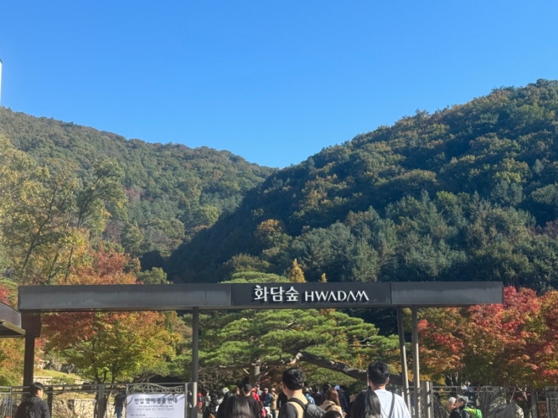 2026 화담숲 예약 주차 가격 가을 단풍 예약 꿀팁 작년에 후기 및 아이와 가볼만한곳 가족여행....