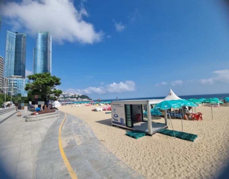 ⛱️부산 해운대 가볼만한 곳 [해수욕장, 전통시장]
