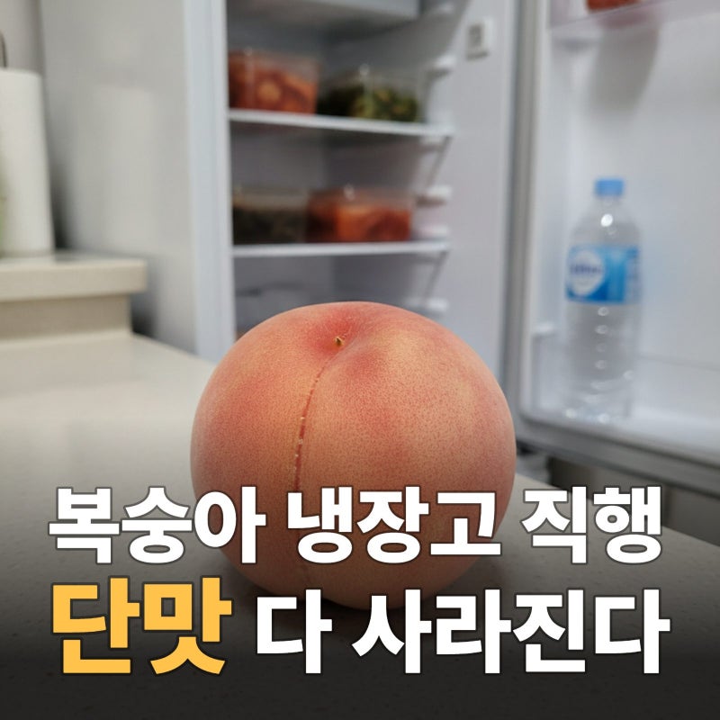 말랑복숭아 보관법, 냉장고에 바로 넣어도 될까? 오래 두는 방법
