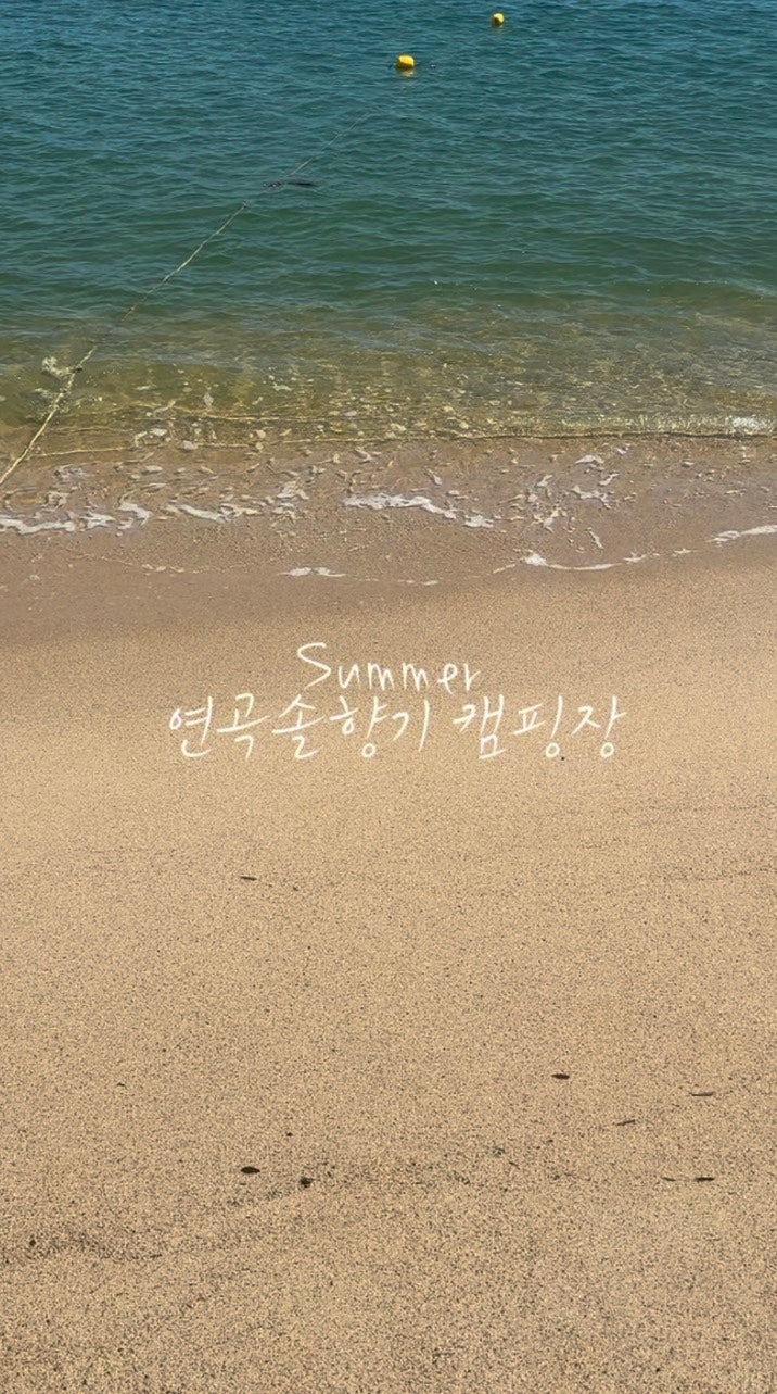 강릉연곡솔향기캠핑장 A142 사이트 명당에서 우중캠핑 후기