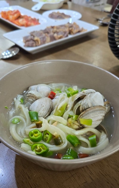 고창 갯벌체험 후기: 갯벌에서 잡은 동죽, 바로 먹으면 안 돼요! 해감법부터 칼국수·보관법....