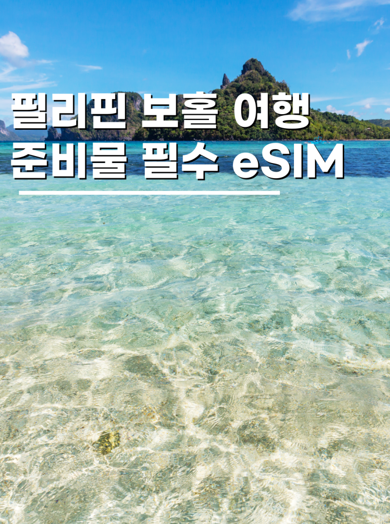 필리핀 보홀 유심 이심 가격 비교부터 설치 방법과 실제 사용 후기