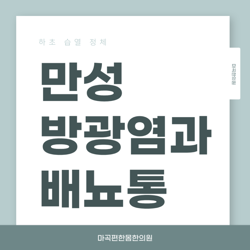 만성 방광염과 배뇨통 원인과 증상, 하초 습열 정체 치료 마곡편한몸한의원 한방내과전문의