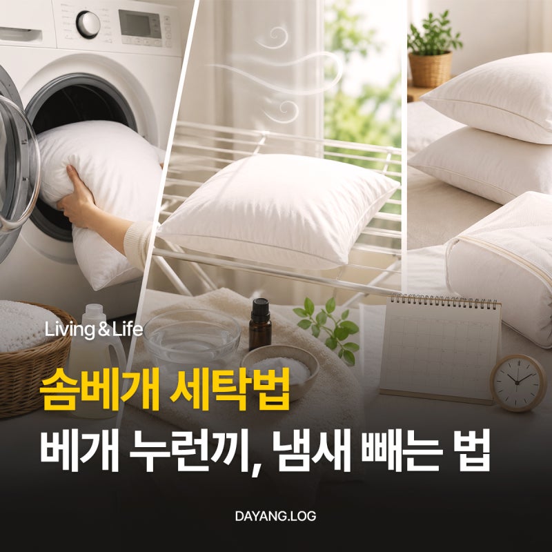 솜베개 세탁법, 솜뭉침 없이 베개 냄새 빼는 법과 베개 세탁 주기