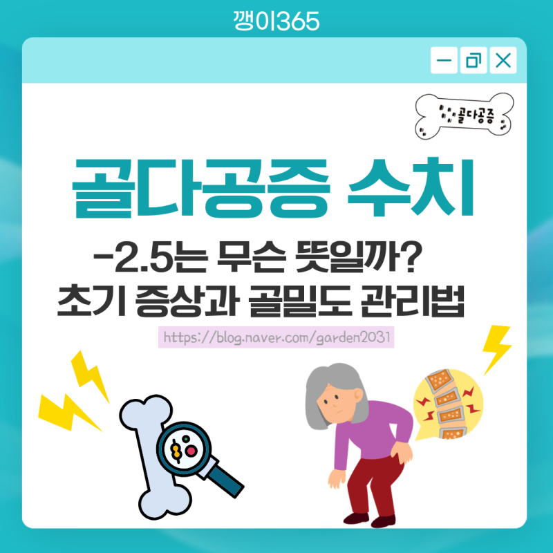 골다공증 수치 -2.5는 무슨 뜻일까? 초기 증상과 골밀도 관리법
