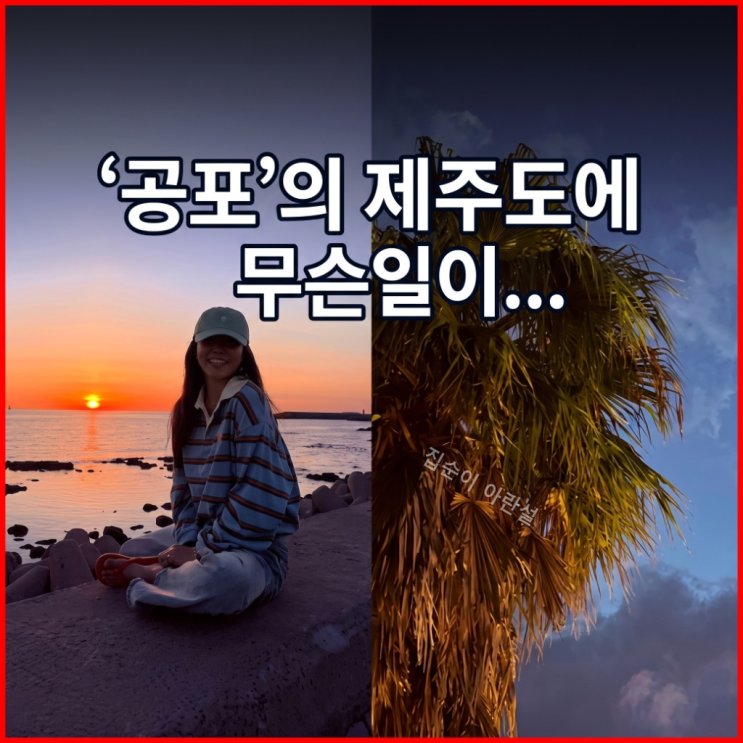 <b>진재영 제주</b>살이 9년 만에 밤산책도 무서워진 현실 이유
