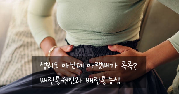 생리도 아닌데 아랫배가 콕콕? 배란통원인과 배란통증상