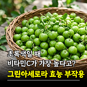 초록색일 때 비타민C가 가장 높다고? 그린아세로라 효능 부작용