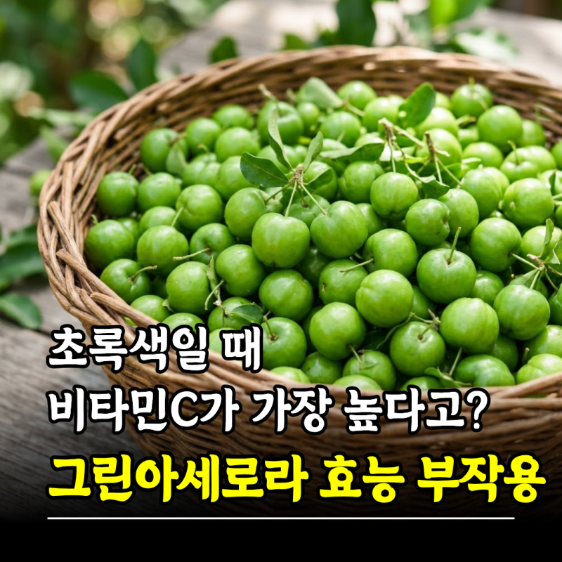 초록색일 때 비타민C가 가장 높다고? 그린아세로라 효능 부작용