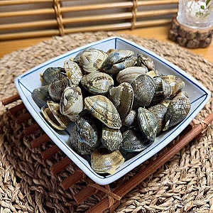 바지락 해감 방법 시간 보관법