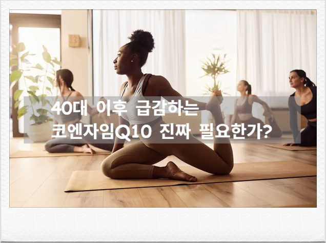 40대라면 꼭 섭취해야 하는 코엔자임Q10, 논문으로 밝혀진 진짜 효과는?