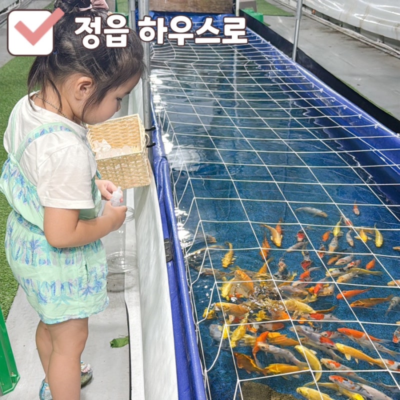 광주 근교 아기랑 실내 체험 추천 정읍 하우스로