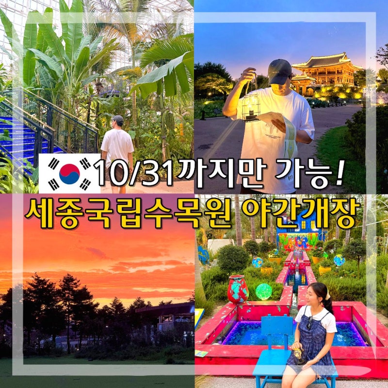10월까지 특별 운영되는, 국립세종수목원 야간개장!