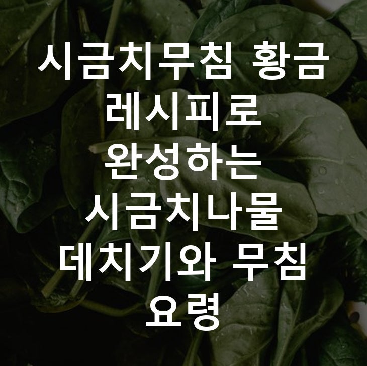 시금치무침 황금 레시피로 완성하는 시금치나물 데치기와 무침 요령