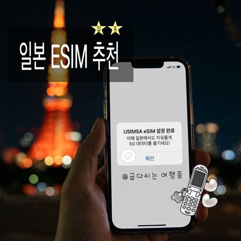 일본 eSIM 추천｜이심 vs 포켓와이파이, 아이폰 설정하는 방법!