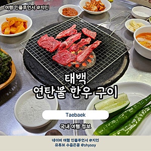 강원도 태백 맛집 연탄불 한우 원조 태성실비식당 내돈내산 후기