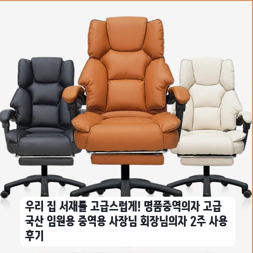 명품 임원용 의자 T3ET905XNAV01 한 달 사용 경험담